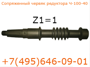 Червячный вал редуктора Ч-100-40 Сопряженный червяк редуктора Ч-100-40
